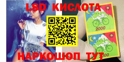 гидра Краснокаменск