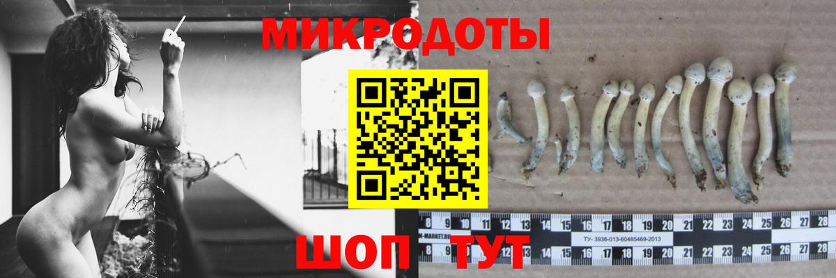 Дальнереченск  Псилоцибиновые грибы Psilocybe  Вход с VPN 